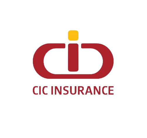 CIC Insurance Group Logo